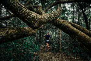 BIB: 
                            <button type="button" onclick="openModal(25708186)" class="btn btn-primary btn-sm float-right btn-popup" data-toggle="modal" data-target=".modal-high-quality">
                        <i class="fas fa-shopping-cart"></i> Add to Cart
                    </button>
                                            <button type="button" onclick="isThisMe(25708186, true)" class="btn btn-success btn-sm float-right btn-popup btn-isme hidden" data-toggle="tooltip" data-placement="bottom" title="นี่คือรูปของคุณใช่ไหม คลิกที่นี่เพื่อเอาเข้าอัลบั้ม">
                        <i class="fas fa-plus"></i> Add to album
                    </button>
                    <button type="button" onclick="isThisMe(25708186, false)" class="btn btn-warning btn-sm float-right btn-popup btn-isnotme hidden">
                        <i class="fas fa-ban"></i> Remove from album
                    </button>